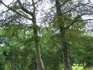 027Applecross