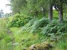 029Applecross